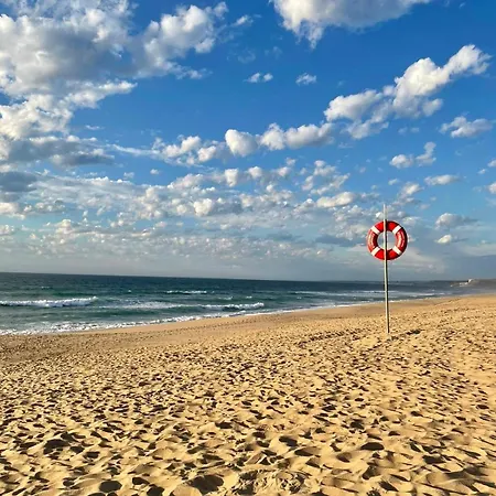 Casa Martins Country 8 - Courtyard And Pool * Freiria